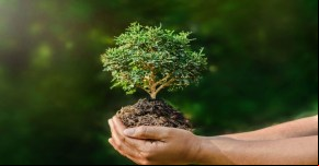 ambiental